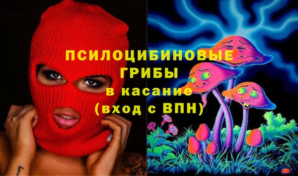 соль ск Бородино