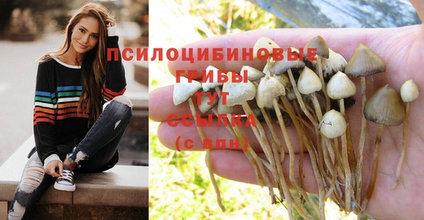 трава Бугульма